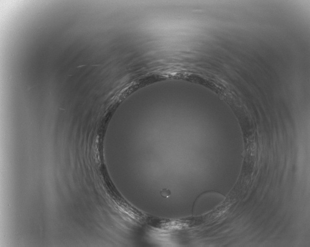 X0000060810754200511171308