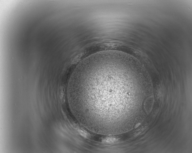 X0000060810759200511171308