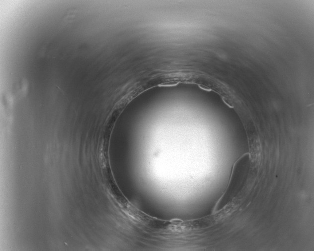 X0000060810764200511171308