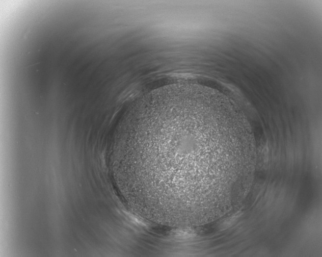 X0000060810765200511171308