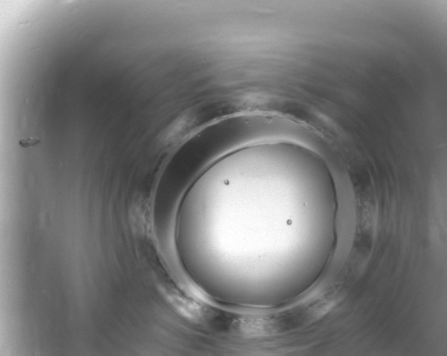 X0000060810766200511171308