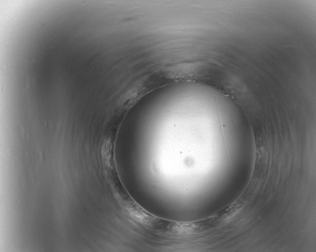 X0000060810767200511171308