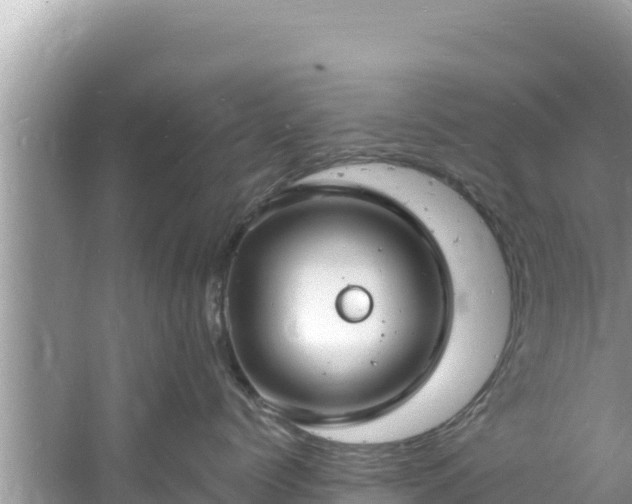 X0000060810768200511171308