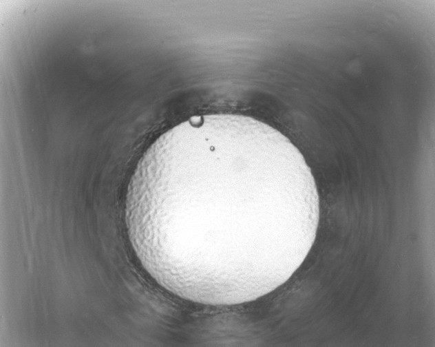 X0000060810769200511171307