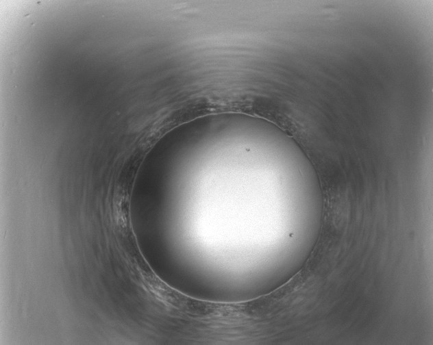 X0000060810770200511171307