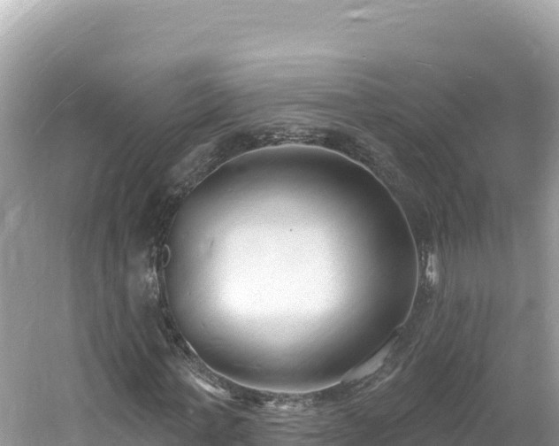 X0000060810771200511171307