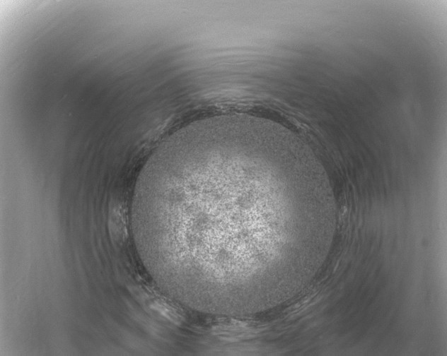 X0000060810772200511171307