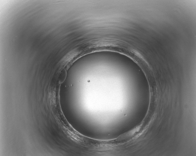 X0000060810777200511171307