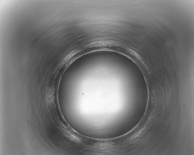 X0000060810778200511171307