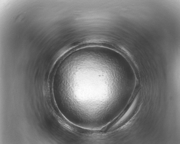 X0000060810779200511171307