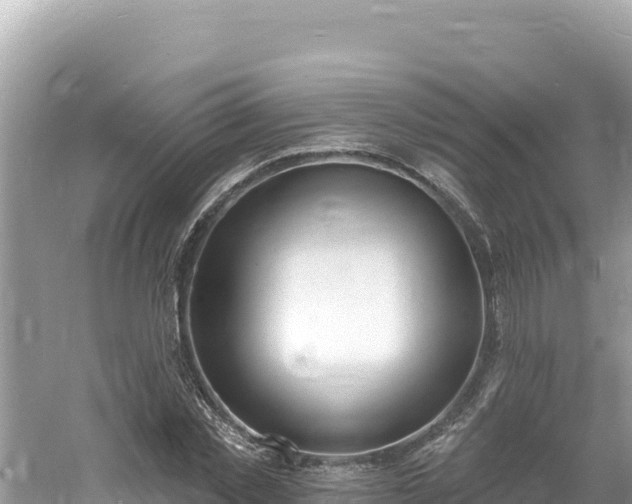 X0000060810781200511171307