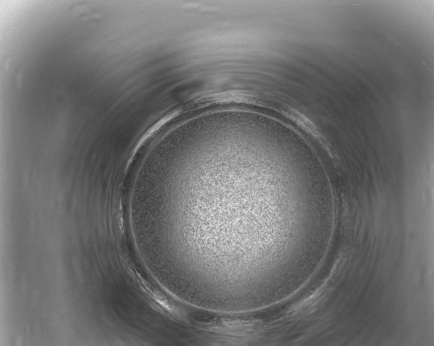 X0000060810782200511171307