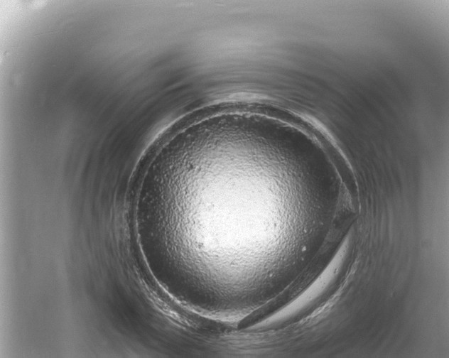 X0000060810783200511171307