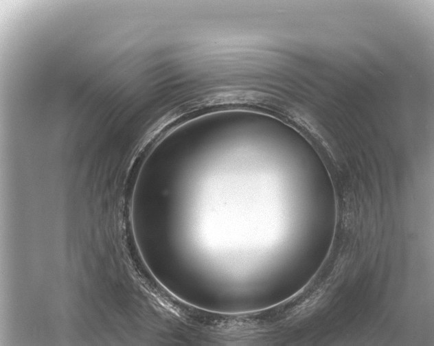 X0000060810786200511171307