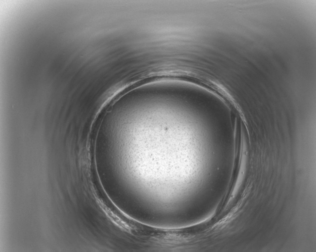 X0000060810787200511171307