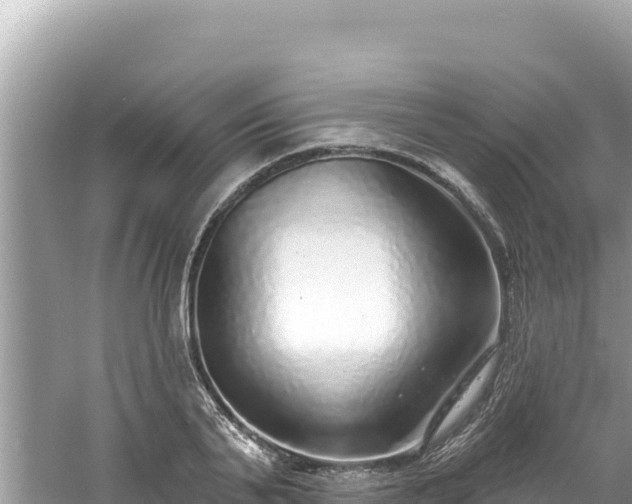 X0000060810791200511171307