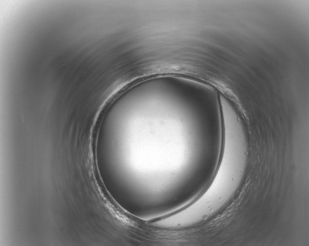 X0000060810792200511171307