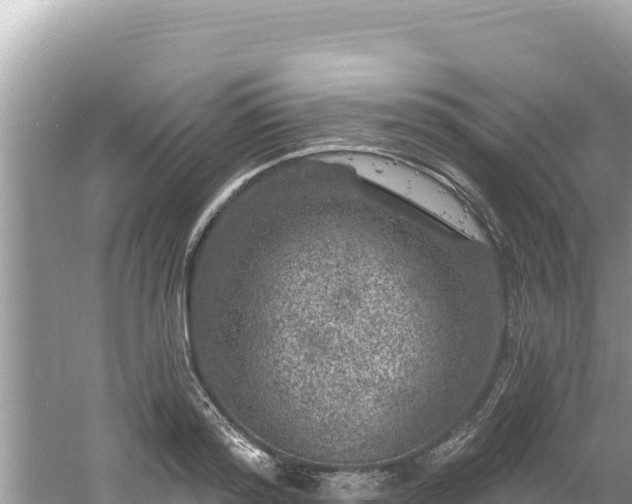 X0000060810796200511171307