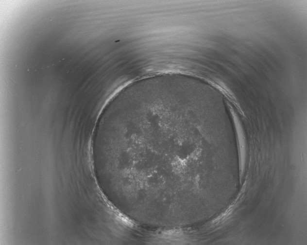 X0000060810798200511171307