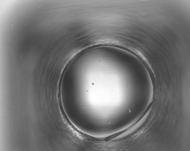 X0000060810799200511171307