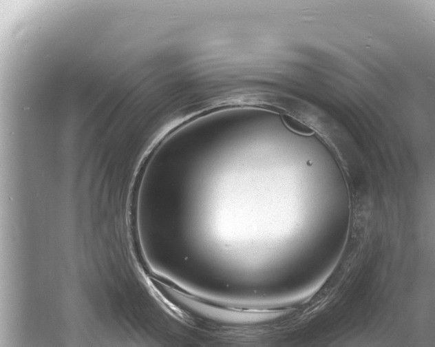 X0000060810803200511171307