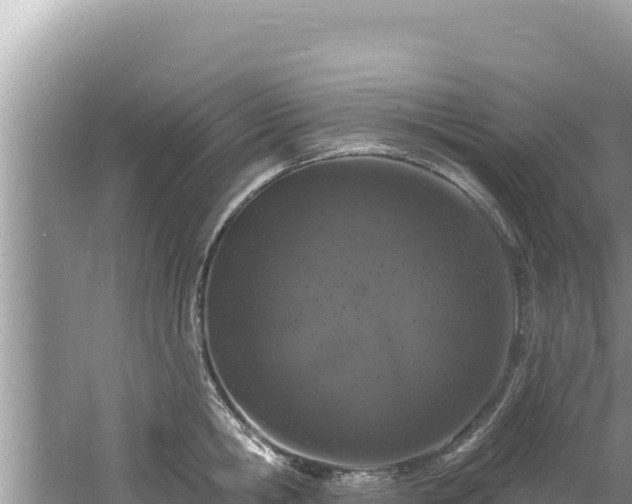 X0000060810806200511171307