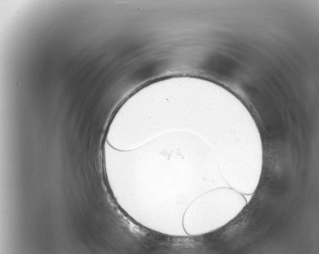 X0000060810807200511171307