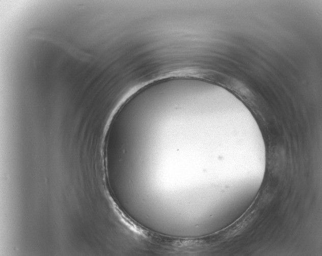 X0000060810808200511171307