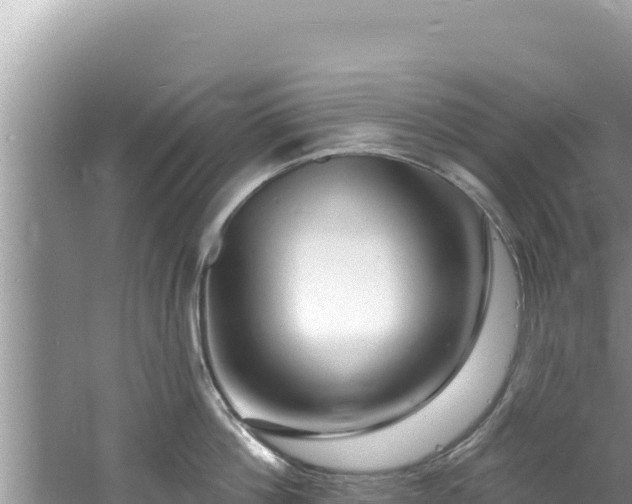 X0000060810812200511171307