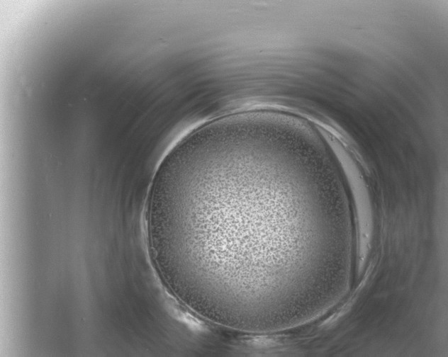 X0000060810814200511171307