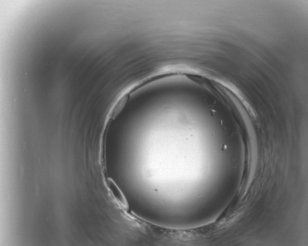 X0000060810815200511171307