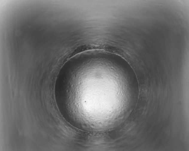 X0000060810817200511171306