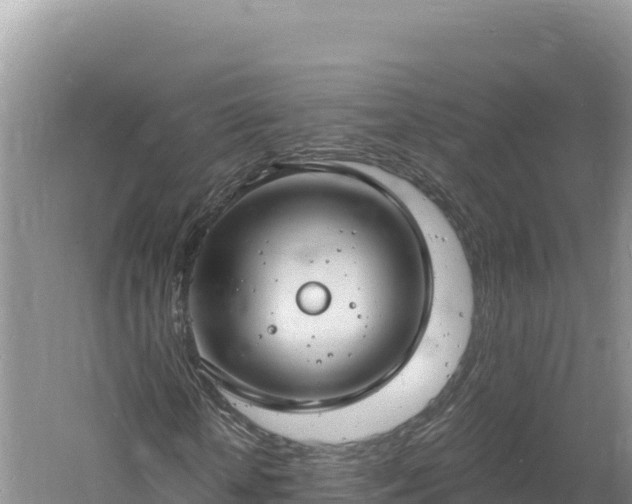 X0000060810818200511171306