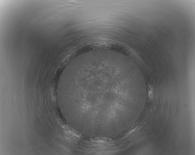 X0000060810819200511171306