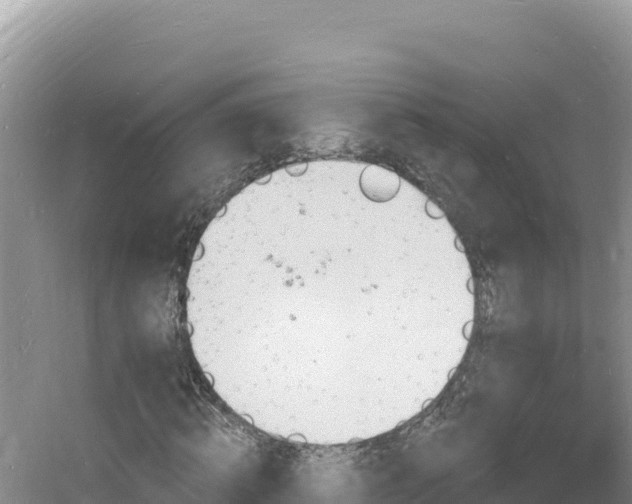 X0000060810820200511171306