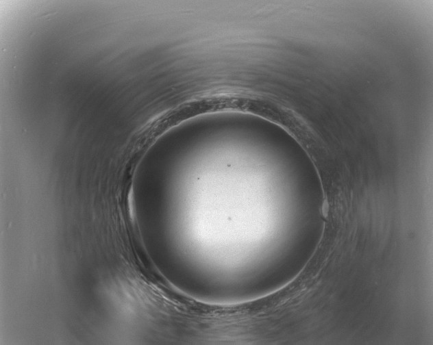 X0000060810821200511171306