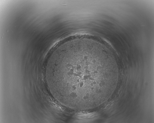 X0000060810823200511171306