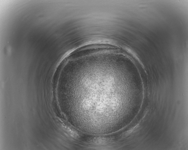 X0000060810829200511171306