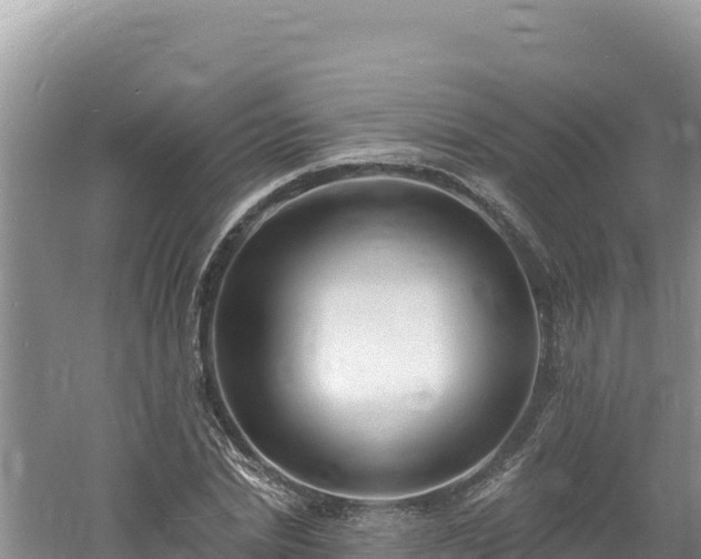 X0000060810830200511171306