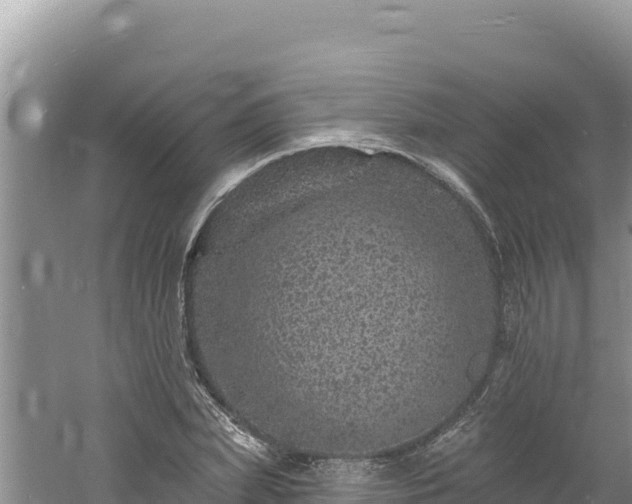 X0000060810831200511171306