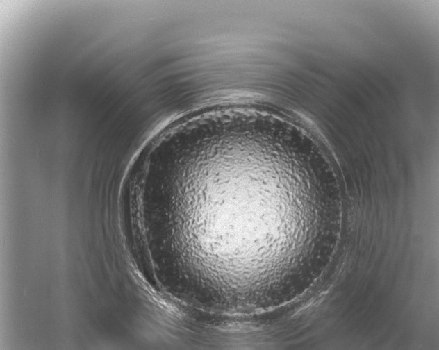 X0000060810835200511171306