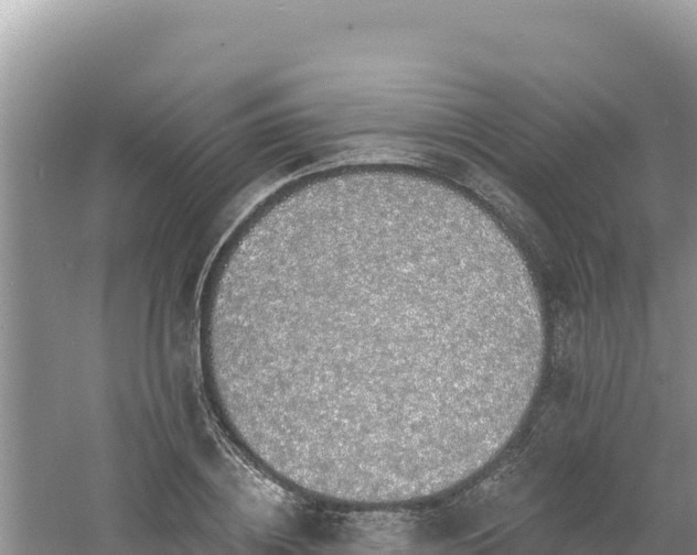 X0000060810836200511171306