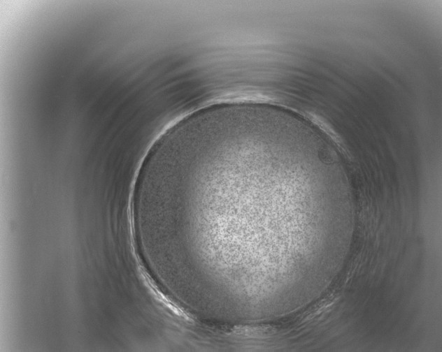 X0000060810840200511171306