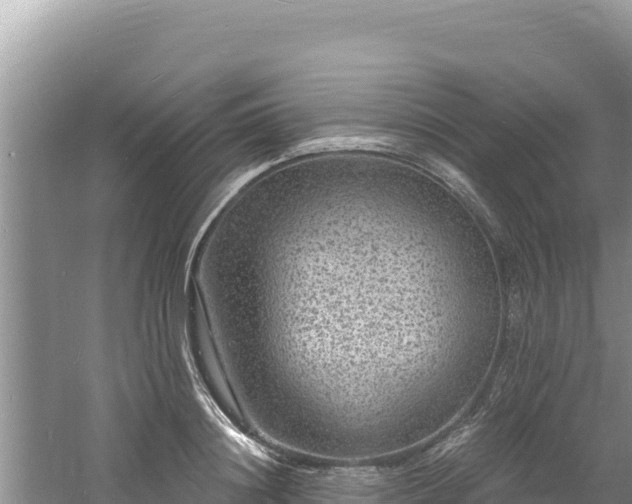 X0000060810844200511171306