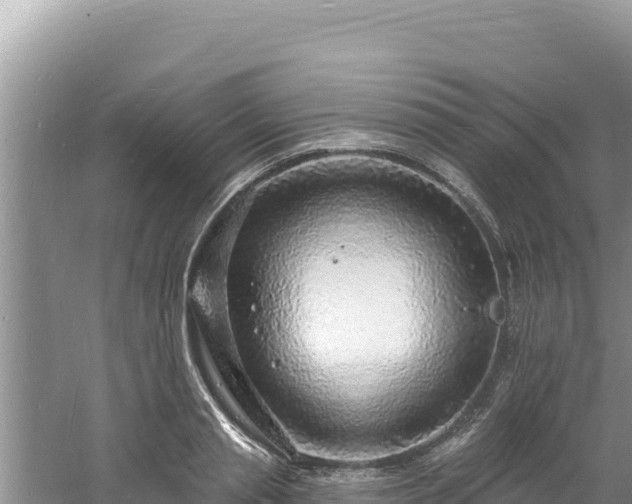 X0000060810845200511171306