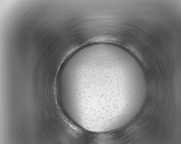 X0000060810848200511171306