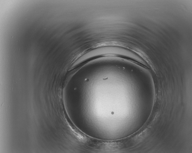 X0000060810849200511171306