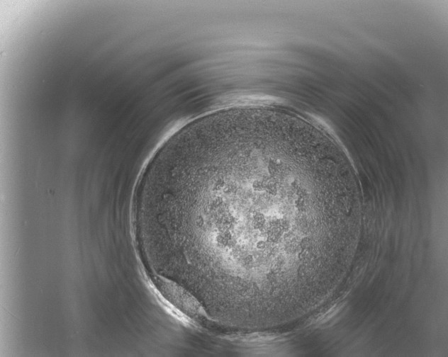 X0000060810851200511171306