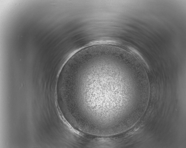 X0000060810852200511171306