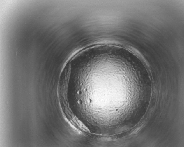 X0000060810855200511171306